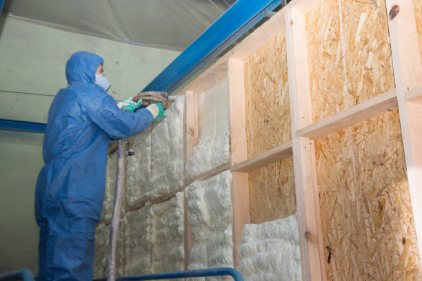 Best Insulation Contractor Near Me  in Nashua, NH